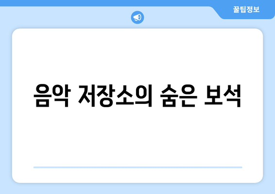 음악 저장소의 숨은 보석