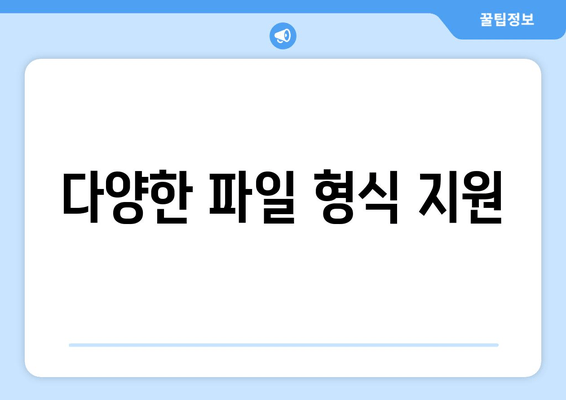 다양한 파일 형식 지원