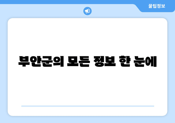 부안군의 모든 정보 한 눈에