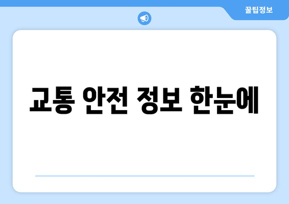 교통 안전 정보 한눈에