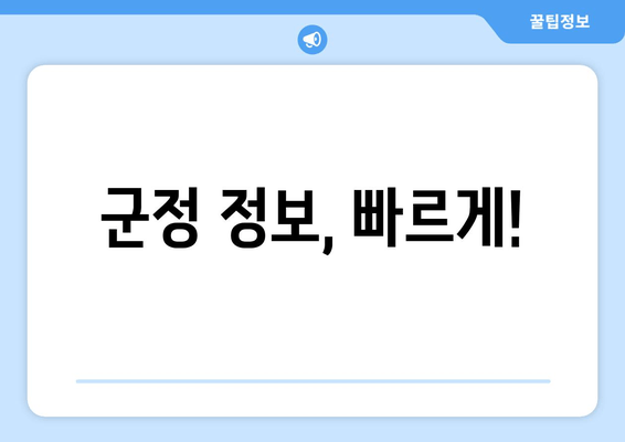 군정 정보, 빠르게!