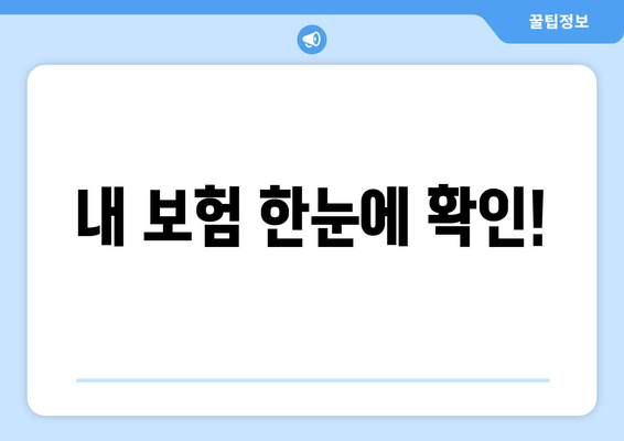 내 보험 한눈에 확인!