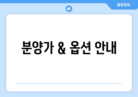 분양가 & 옵션 안내