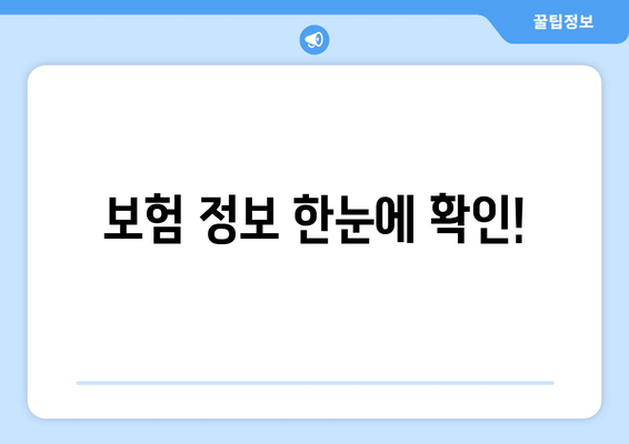 보험 정보 한눈에 확인!