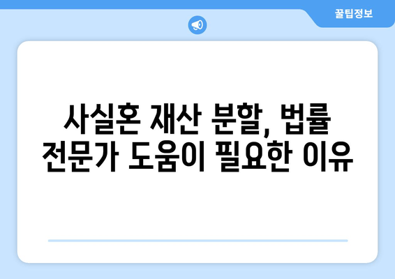 사실혼 관계 재산 분할, 갈등 해결 위한 실질적인 가이드 | 재산 분할, 위자료, 법률 정보, 소송