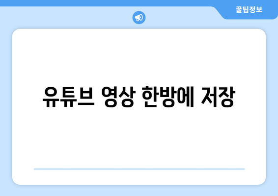 유튜브 영상 한방에 저장