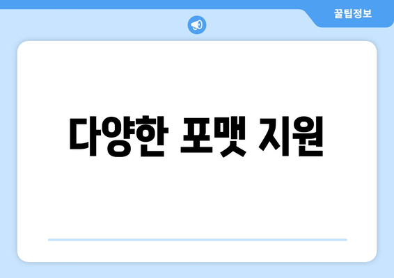 다양한 포맷 지원