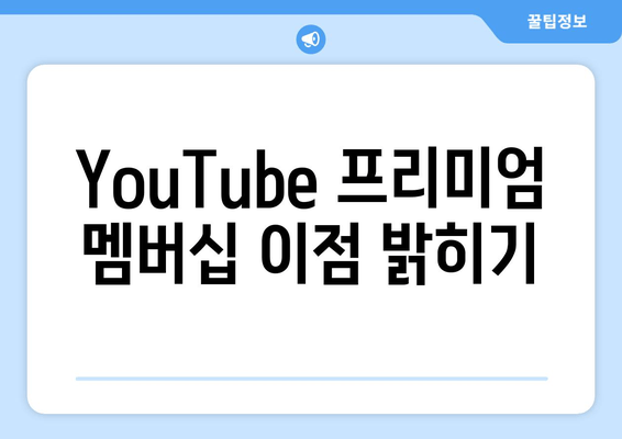 YouTube 프리미엄 멤버십 이점 밝히기