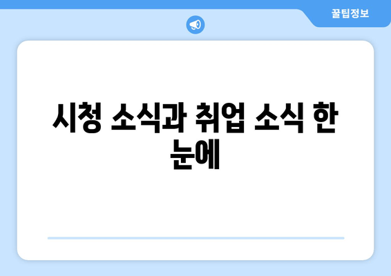 시청 소식과 취업 소식 한 눈에