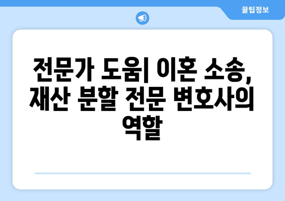 이혼 소송, 재산 분할 어떻게 대응해야 할까요? | 재산분할, 법률, 전략, 팁