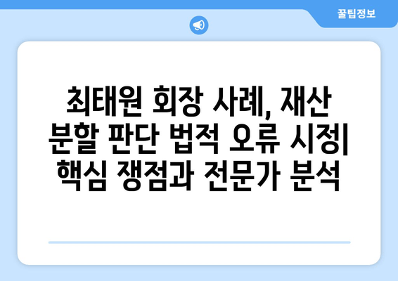 최태원 회장 사례, 재산 분할 판단 법적 오류 시정|  핵심 쟁점과 전문가 분석 | 재산분할, 법률, 오류, 판례, 가이드