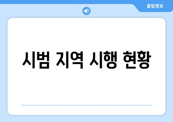 시범 지역 시행 현황