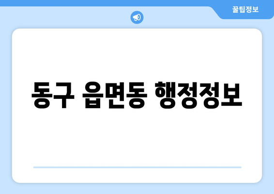 동구 읍면동 행정정보