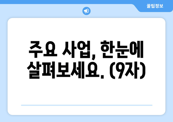 주요 사업, 한눈에 살펴보세요. (9자)