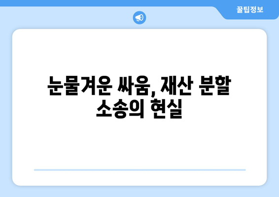 눈물의 재산 분할, 전 재산을 반으로 나눈 소송의 현실 | 재산 분할, 이혼, 법률, 소송