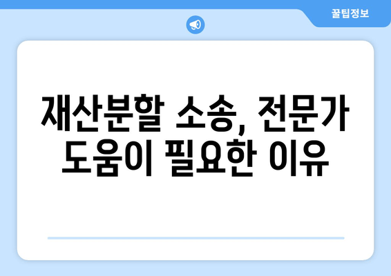 이혼 재산분할, 법적 논점 심층 분석| 주요 쟁점 및 전략 | 재산분할, 이혼소송, 법률정보