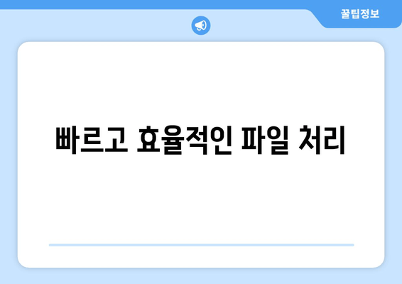 빠르고 효율적인 파일 처리