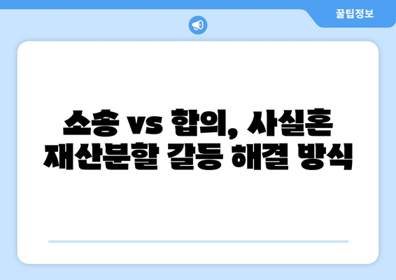 사실혼 재산분할 갈등, 대변이 풀어내는 해법 | 법률 전문가, 소송, 합의, 재산분할