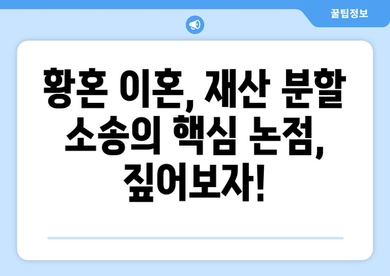 황혼 이혼, 재산 분할 소송의 핵심 논점 파악| 변호사가 알려주는 쟁점과 대응 전략 | 재산분할, 위자료, 재산 형성 기여, 노년층 이혼