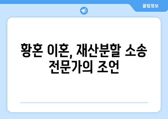 황혼 이혼, 재산분할 소송의 핵심 논점| 쟁점과 전략 | 재산분할, 위자료, 재산 형성 기여도, 법률 조항, 소송 준비