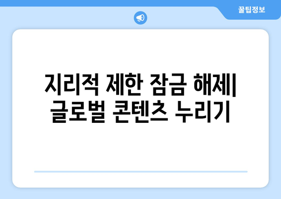 지리적 제한 잠금 해제| 글로벌 콘텐츠 누리기