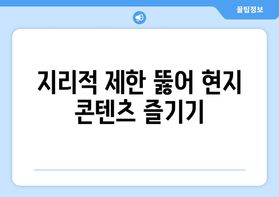 지리적 제한 뚫어 현지 콘텐츠 즐기기