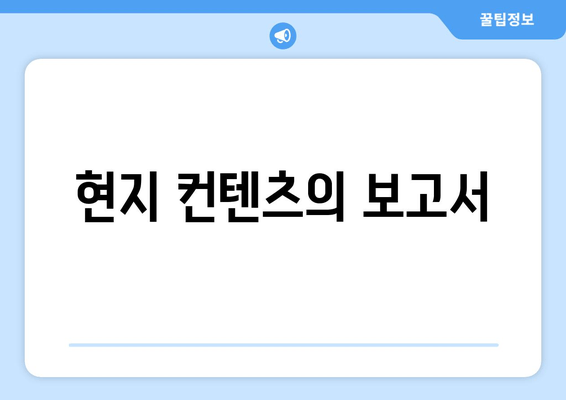 현지 컨텐츠의 보고서