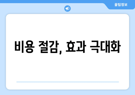 비용 절감, 효과 극대화