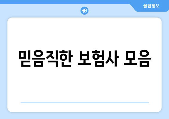 믿음직한 보험사 모음