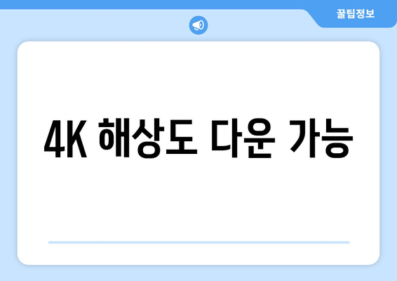 4K 해상도 다운 가능