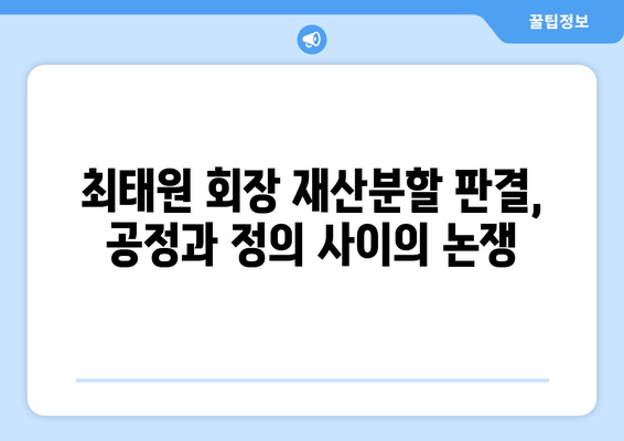 최태원 회장 재산분할 판결,  