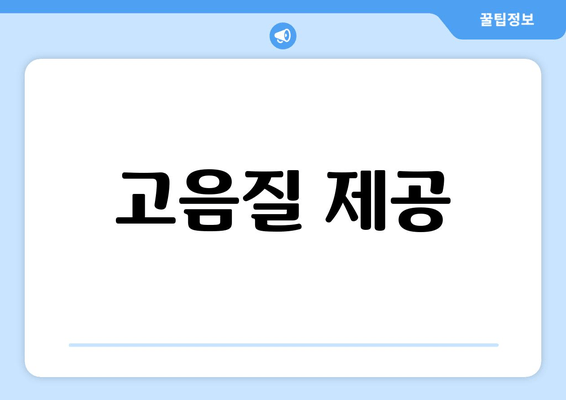 고음질 제공