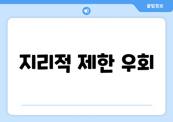 지리적 제한 우회