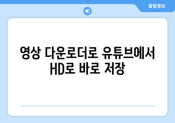 영상 다운로더로 유튜브에서 HD로 바로 저장