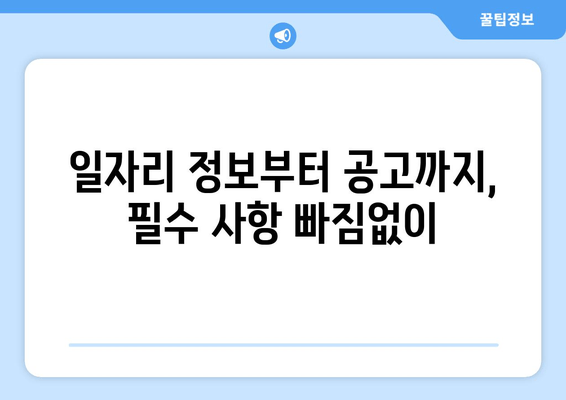 일자리 정보부터 공고까지, 필수 사항 빠짐없이