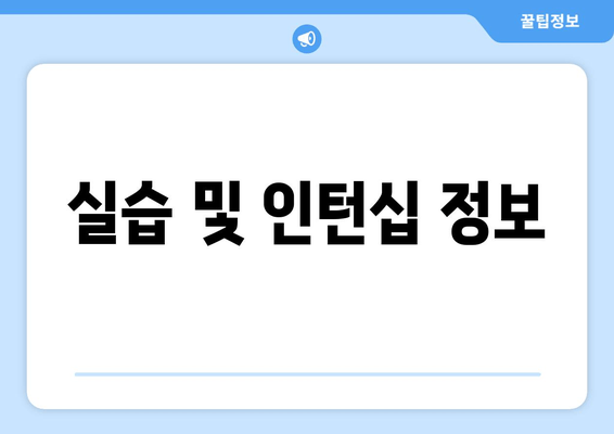 실습 및 인턴십 정보