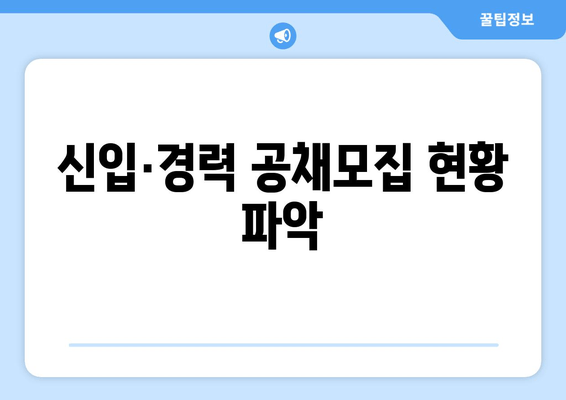 신입·경력 공채모집 현황 파악