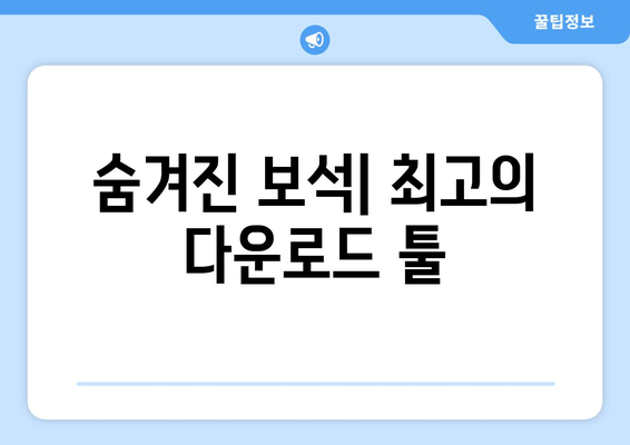 숨겨진 보석| 최고의 다운로드 툴