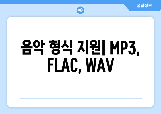 음악 형식 지원| MP3, FLAC, WAV