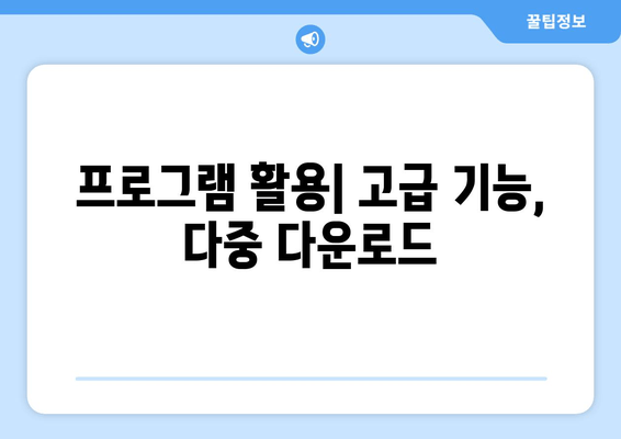 프로그램 활용| 고급 기능, 다중 다운로드