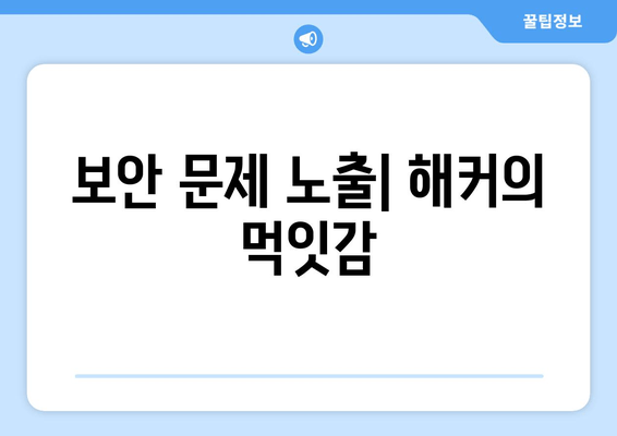 보안 문제 노출| 해커의 먹잇감