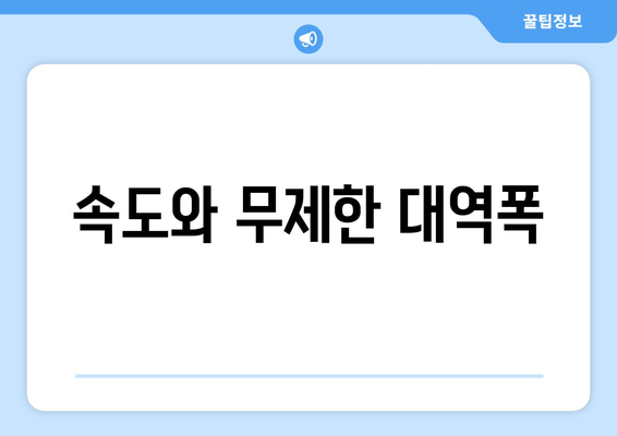 속도와 무제한 대역폭