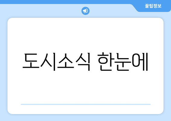 도시소식 한눈에