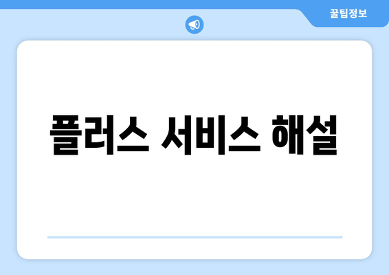 플러스 서비스 해설