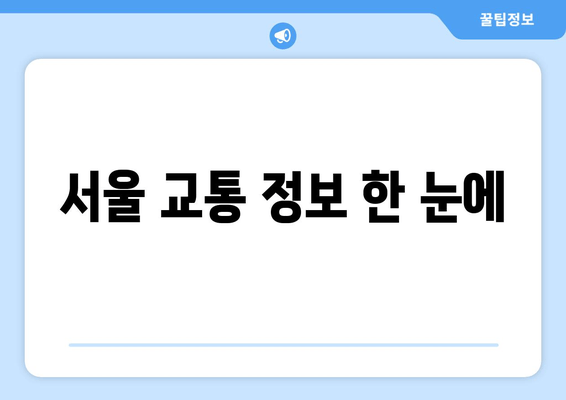 서울 교통 정보 한 눈에