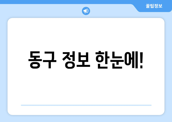 동구 정보 한눈에!