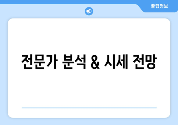 전문가 분석 & 시세 전망