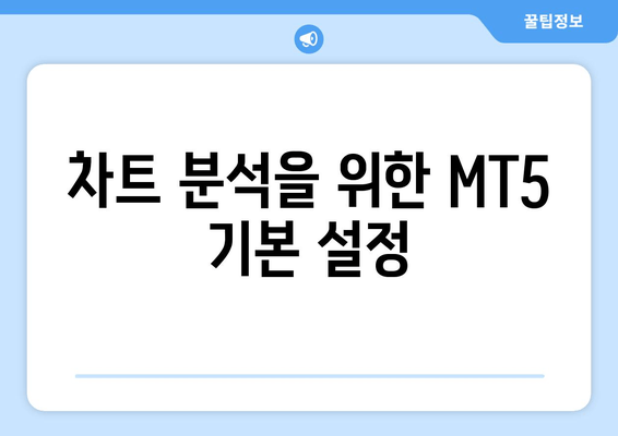 차트 분석을 위한 MT5 기본 설정