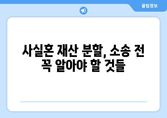 사실혼 관계 재산 분할, 갈등 해결 위한 실질적인 가이드 | 재산 분할, 위자료, 법률 정보, 소송