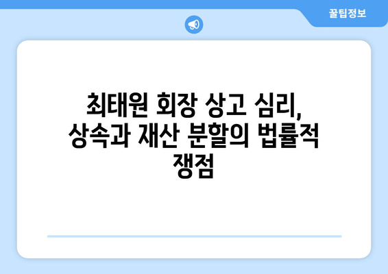 최태원 회장 상고 심리, 재산 분할 판단 오류 바로잡기| 쟁점과 전망 | 상속, 재산분할, 법률